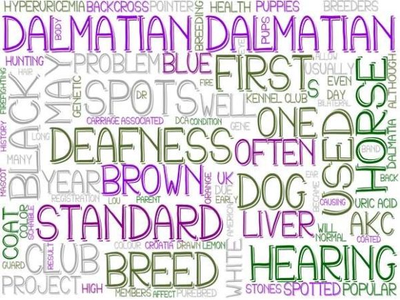 Dalmatian Wordcloud Crafting: A Creative Tool for Modern Designers