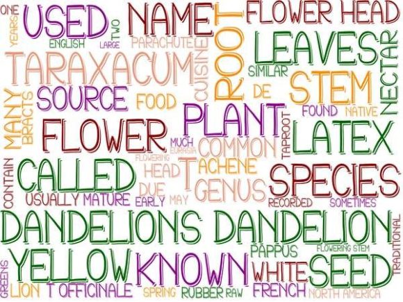 Dandelions Wordcloud Sticker: A Creative Tool for Design and Branding