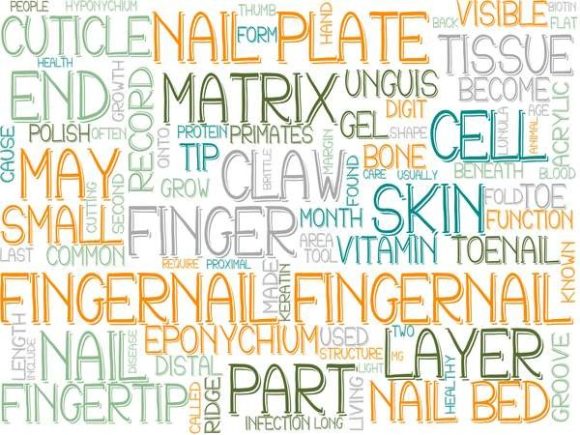Fingernail Wordcloud Tshirt: A Versatile Design Resource for Creative Professionals and DIY Enthusiasts