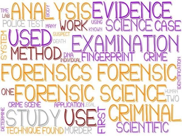 Forensics Wordcloud Sticker: A Versatile Creative Tool for Real-World Projects