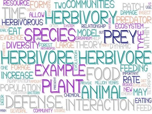 Herbivore Wordcloud Wallpaper