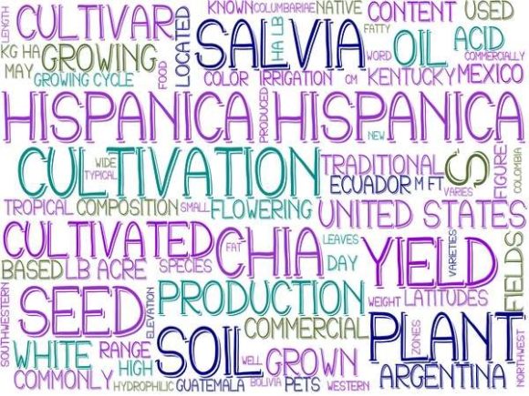 Hispanica Wordcloud Advertising