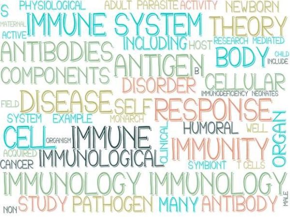 Immunology Wordcloud Sticker