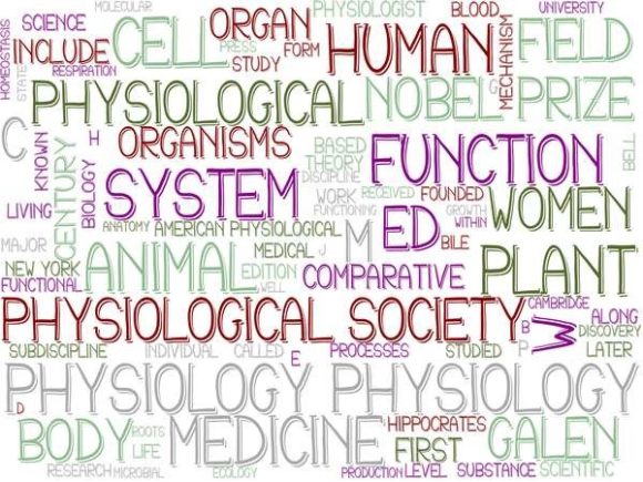 Physiology Wordcloud Background: A Versatile Visual Resource for Science-Inspired Design