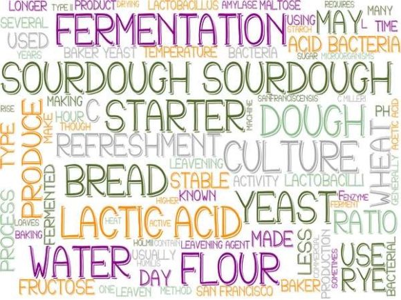 Sourdough Wordcloud Skinny Tumbler: A Creative Design Tool for Every Maker and Marketer