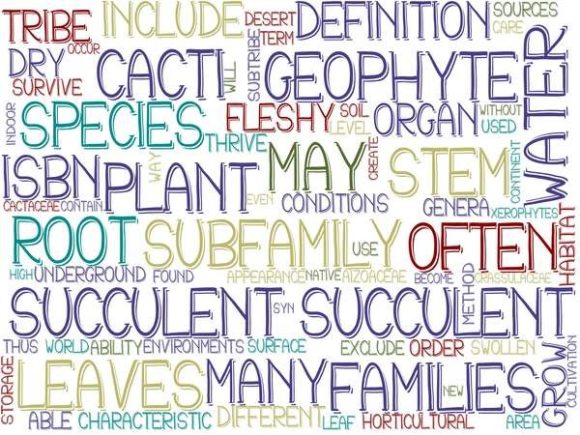 Succulent Wordcloud Banner: Your Versatile Design Spark for Real Projects